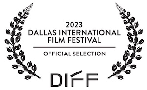 DIFF official selection award